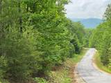 Lot 49 Bald Eagle Lane - Photo 9