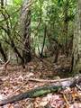 185 Crossvine Trail - Photo 12