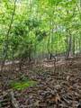 185 Crossvine Trail - Photo 14