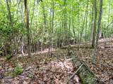 185 Crossvine Trail - Photo 15