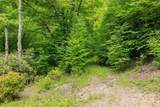 000 Lost Ridge Road - Photo 5