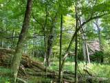 3065 Piney Hill Road - Photo 28