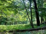 3065 Piney Hill Road - Photo 31