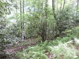 00 South Toe River Road - Photo 8