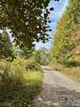 Tract 2 Turkey Trot Road - Photo 13