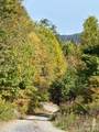 Tract 2 Turkey Trot Road - Photo 14