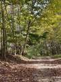 Tract 2 Turkey Trot Road - Photo 15