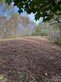 Tract 2 Turkey Trot Road - Photo 23