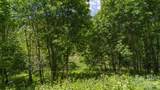 Tract 2 Turkey Trot Road - Photo 30