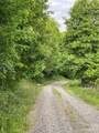 Tract 2 Turkey Trot Road - Photo 38