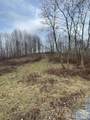 Tract 2 Turkey Trot Road - Photo 39