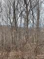 Tract 2 Turkey Trot Road - Photo 40