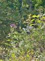 Tract 2 Turkey Trot Road - Photo 43