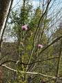 Tract 2 Turkey Trot Road - Photo 44
