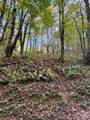 Tract 2 Turkey Trot Road - Photo 46