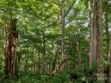 000 Bear Ridge Road - Photo 11