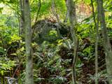 000 Bear Ridge Road - Photo 12