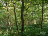 000 Bear Ridge Road - Photo 9