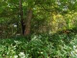 000 Bear Ridge Road - Photo 10