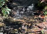 6 Majestic Trace - Photo 41