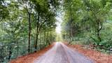 000 White Oak Road - Photo 36