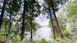 000 White Oak Road - Photo 9