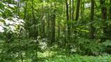35 Twisted Trail - Photo 16