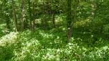 35 Twisted Trail - Photo 29