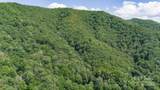 35 Twisted Trail - Photo 9
