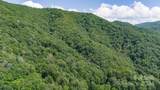 35 Twisted Trail - Photo 10