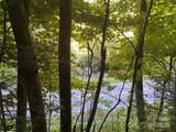 0000 Big Laurel Road - Photo 16