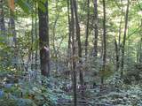 0000 Big Laurel Road - Photo 17