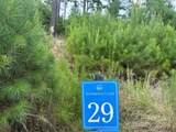 Lot 29 Windward Lane - Photo 21