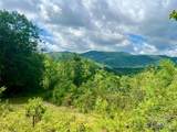667 Laurel Thicket Lane - Photo 5