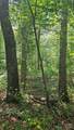 1450 Pork Road - Photo 4