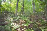 0 Alex Trail - Photo 12