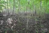 0 Alex Trail - Photo 6
