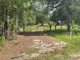 5630 Woods Ferry Road - Photo 3