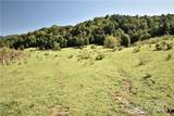 0000 Hyatt Creek Road - Photo 23