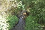 0000 Hyatt Creek Road - Photo 38