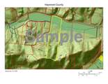 0000 Hyatt Creek Road - Photo 45