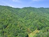 000 Byrd Creek Road - Photo 11