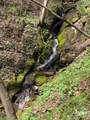 000 Byrd Creek Road - Photo 7