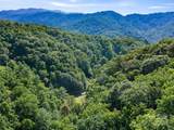 000 Byrd Creek Road - Photo 9