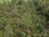110 Haywood Cemetery Road - Photo 18