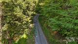 0 Brush Creek Mountain Road - Photo 3