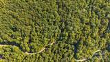 0 Brush Creek Mountain Road - Photo 9