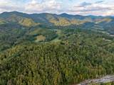 00 Mountain Mission Road - Photo 13
