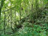 00 Yonah Trail - Photo 11