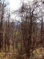 00 Yonah Trail - Photo 20